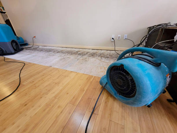 Professional Structural Drying technician working in Bow, NH